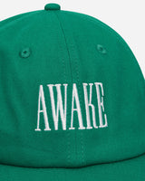 Awake NY Logo Hat Green Hats Caps 9031841 GRN