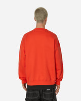 Champion Crewneck Sweatshirt Orange Sweatshirts Crewneck C8-Z018 840