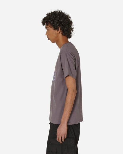 Dime Sunny T-Shirt Plum Gray T-Shirts Shortsleeve DIMEHO2324 PLU