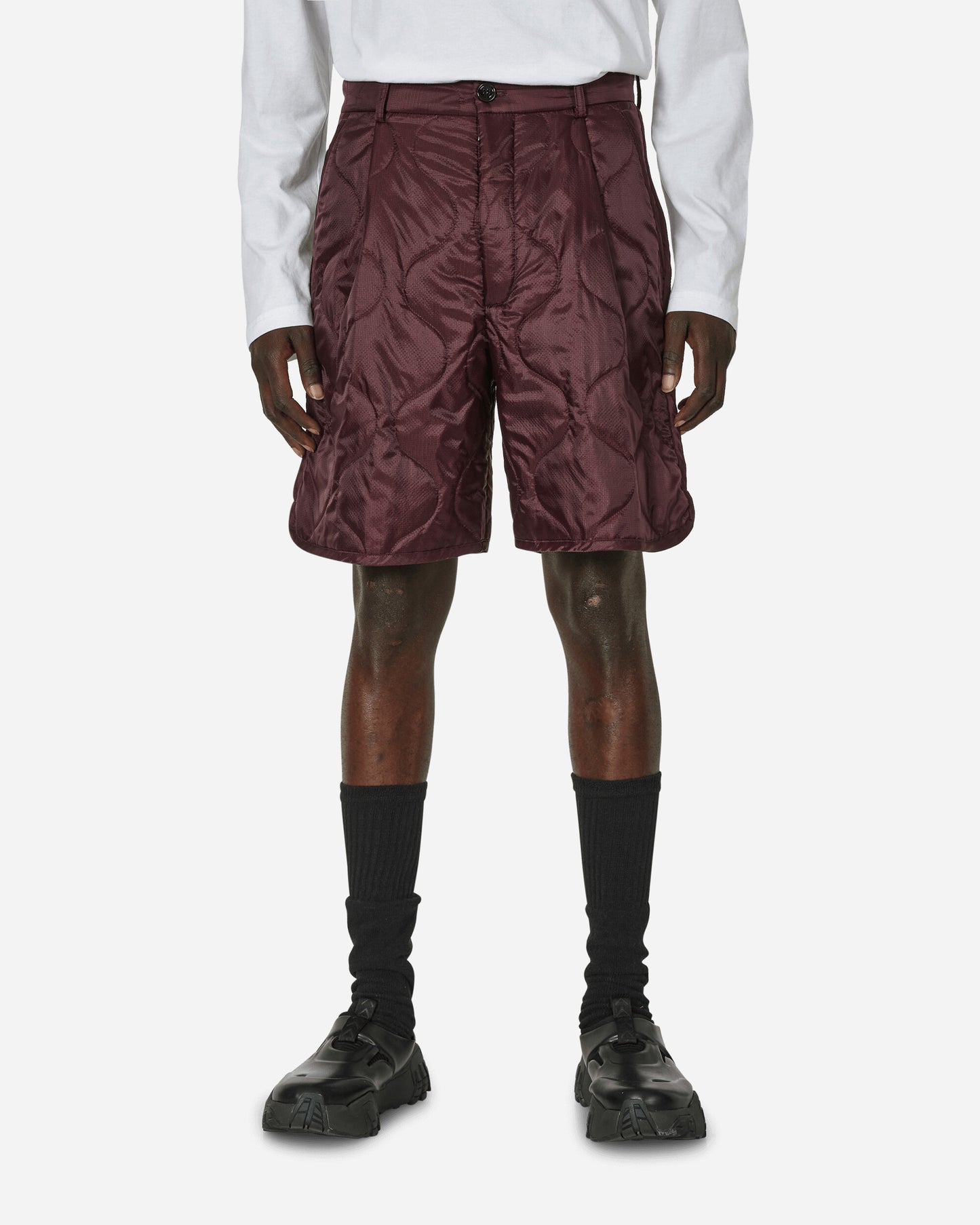 Dries Van Noten Pinlow Pants Auber Shorts Short 241-020955-8502 357