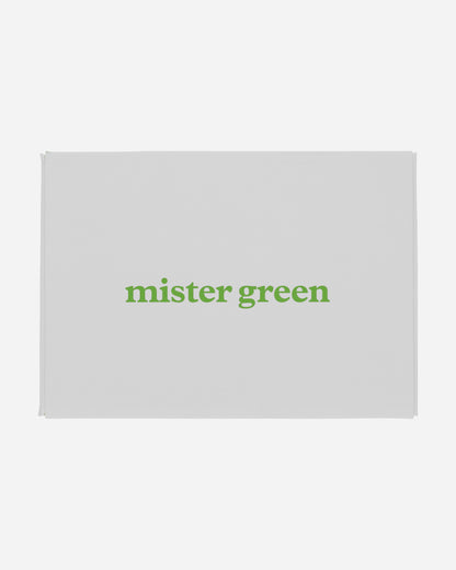 Mister Green Wordmark Hemp Underwear 2 Pack Chlorophyll & Navy Underwear Boxers MG-F1561 CAM