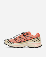 Salomon Xt-6 Living Coral/Black/Cement Sneakers Low L47445000