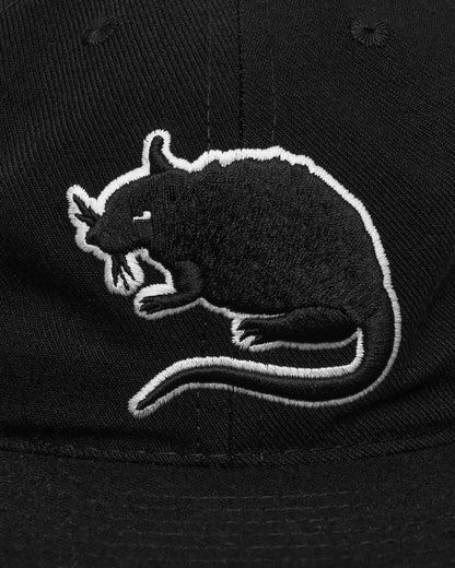 Stray Rats Rat Logo Fitted Hat Black Hats Caps SRH1180W BLACK