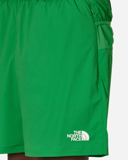 The North Face Project X Tnf X Project U Performance Running Shorts Fern Green Shorts Short NF0A87UH 3841