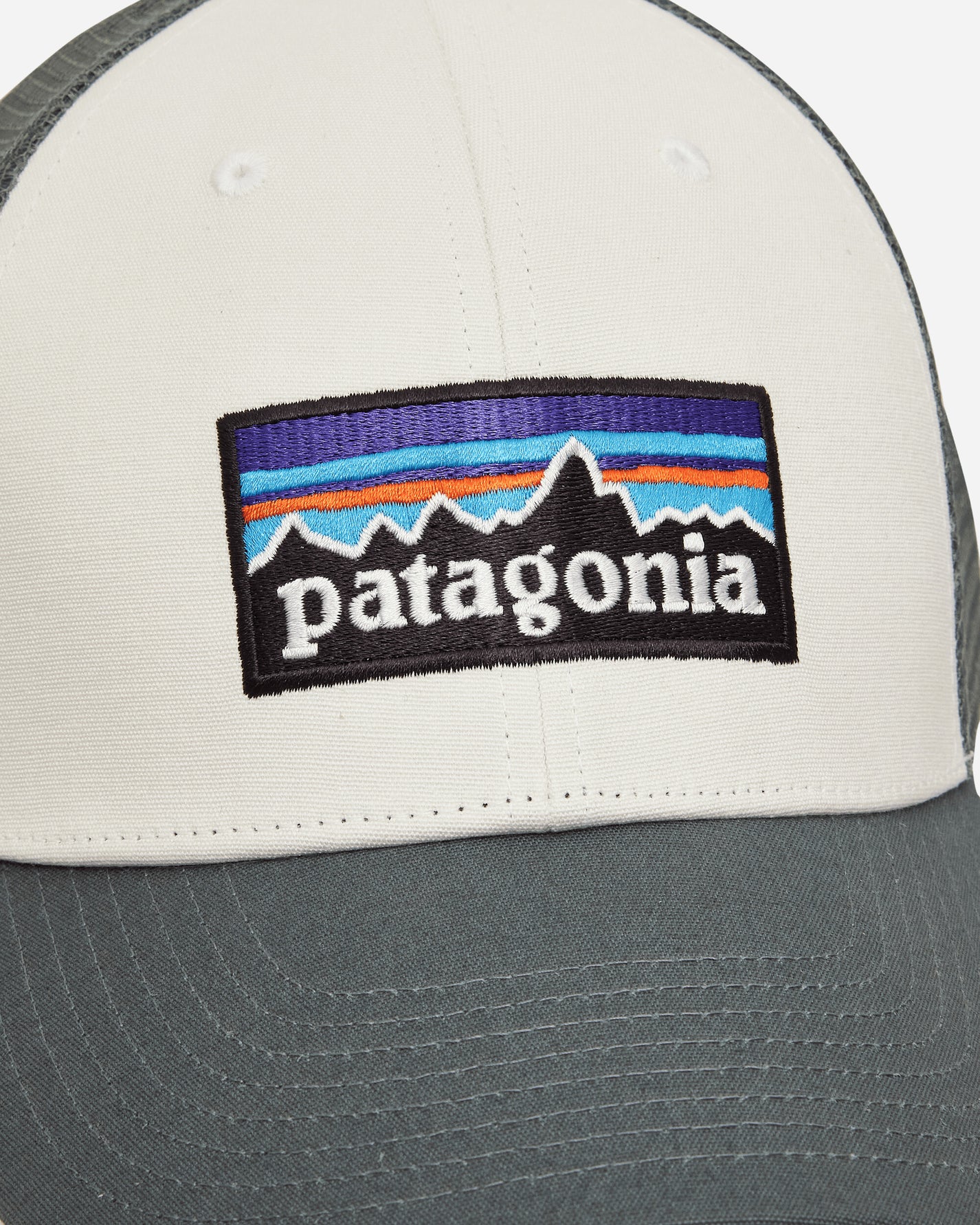 Patagonia P-6 Logo Lopro Trucker Hat White w/Nouveau Green Hats Caps 38283 WNVO